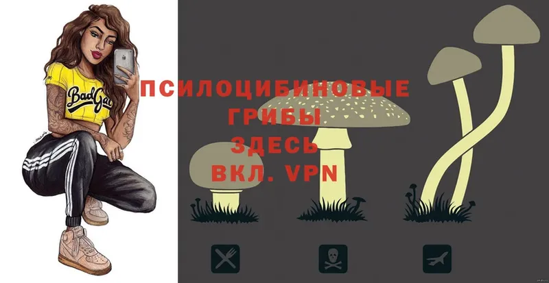 Галлюциногенные грибы Psilocybe  мега вход  Сатка 