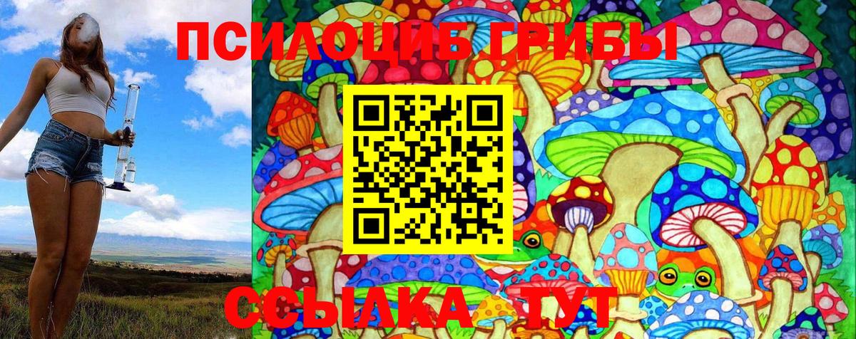 Галлюциногенные грибы Magic Shrooms Сатка